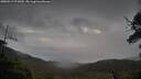 ./images/calvert/fitz-hugh-hecate/20250519/fitz-hugh-hecate20250519_071010M.jpg