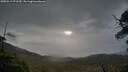 ./images/calvert/fitz-hugh-hecate/20250519/fitz-hugh-hecate20250519_071509M.jpg