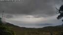 ./images/calvert/fitz-hugh-hecate/20250519/fitz-hugh-hecate20250519_072008M.jpg