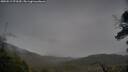 ./images/calvert/fitz-hugh-hecate/20250519/fitz-hugh-hecate20250519_073510M.jpg