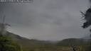 ./images/calvert/fitz-hugh-hecate/20250519/fitz-hugh-hecate20250519_075009M.jpg