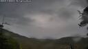 ./images/calvert/fitz-hugh-hecate/20250519/fitz-hugh-hecate20250519_080011M.jpg