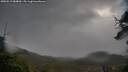 ./images/calvert/fitz-hugh-hecate/20250519/fitz-hugh-hecate20250519_084010M.jpg