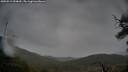 ./images/calvert/fitz-hugh-hecate/20250519/fitz-hugh-hecate20250519_090010M.jpg