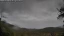 ./images/calvert/fitz-hugh-hecate/20250519/fitz-hugh-hecate20250519_090510M.jpg