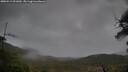 ./images/calvert/fitz-hugh-hecate/20250519/fitz-hugh-hecate20250519_091010M.jpg