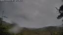 ./images/calvert/fitz-hugh-hecate/20250519/fitz-hugh-hecate20250519_091510M.jpg