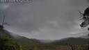 ./images/calvert/fitz-hugh-hecate/20250519/fitz-hugh-hecate20250519_093510M.jpg
