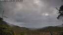 ./images/calvert/fitz-hugh-hecate/20250519/fitz-hugh-hecate20250519_094010M.jpg