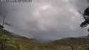 ./images/calvert/fitz-hugh-hecate/20250519/fitz-hugh-hecate20250519_100011M.jpg
