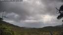 ./images/calvert/fitz-hugh-hecate/20250519/fitz-hugh-hecate20250519_101009M.jpg