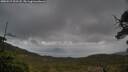 ./images/calvert/fitz-hugh-hecate/20250519/fitz-hugh-hecate20250519_101508M.jpg