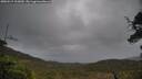 ./images/calvert/fitz-hugh-hecate/20250519/fitz-hugh-hecate20250519_102010M.jpg