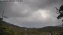 ./images/calvert/fitz-hugh-hecate/20250519/fitz-hugh-hecate20250519_102509M.jpg