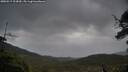 ./images/calvert/fitz-hugh-hecate/20250519/fitz-hugh-hecate20250519_103010M.jpg
