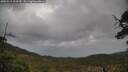 ./images/calvert/fitz-hugh-hecate/20250519/fitz-hugh-hecate20250519_103510M.jpg