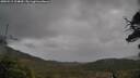 ./images/calvert/fitz-hugh-hecate/20250519/fitz-hugh-hecate20250519_104010M.jpg