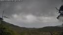 ./images/calvert/fitz-hugh-hecate/20250519/fitz-hugh-hecate20250519_104510M.jpg