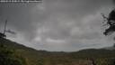 ./images/calvert/fitz-hugh-hecate/20250519/fitz-hugh-hecate20250519_105009M.jpg