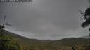 ./images/calvert/fitz-hugh-hecate/20250519/fitz-hugh-hecate20250519_105509M.jpg