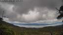 ./images/calvert/fitz-hugh-hecate/20250519/fitz-hugh-hecate20250519_111009M.jpg