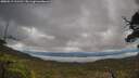 ./images/calvert/fitz-hugh-hecate/20250519/fitz-hugh-hecate20250519_111510M.jpg