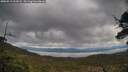 ./images/calvert/fitz-hugh-hecate/20250519/fitz-hugh-hecate20250519_112007M.jpg