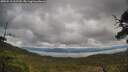 ./images/calvert/fitz-hugh-hecate/20250519/fitz-hugh-hecate20250519_112510M.jpg