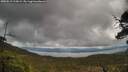 ./images/calvert/fitz-hugh-hecate/20250519/fitz-hugh-hecate20250519_113008M.jpg
