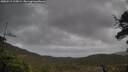 ./images/calvert/fitz-hugh-hecate/20250519/fitz-hugh-hecate20250519_115009M.jpg