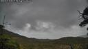 ./images/calvert/fitz-hugh-hecate/20250519/fitz-hugh-hecate20250519_115507M.jpg
