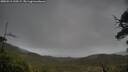 ./images/calvert/fitz-hugh-hecate/20250519/fitz-hugh-hecate20250519_120509M.jpg