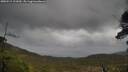 ./images/calvert/fitz-hugh-hecate/20250519/fitz-hugh-hecate20250519_122010M.jpg