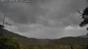 ./images/calvert/fitz-hugh-hecate/20250519/fitz-hugh-hecate20250519_122510M.jpg