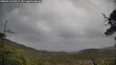 ./images/calvert/fitz-hugh-hecate/20250519/fitz-hugh-hecate20250519_123009M.jpg
