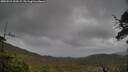 ./images/calvert/fitz-hugh-hecate/20250519/fitz-hugh-hecate20250519_123509M.jpg