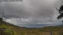 ./images/calvert/fitz-hugh-hecate/20250519/fitz-hugh-hecate20250519_124010M.jpg