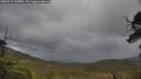 ./images/calvert/fitz-hugh-hecate/20250519/fitz-hugh-hecate20250519_125010M.jpg