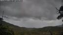 ./images/calvert/fitz-hugh-hecate/20250519/fitz-hugh-hecate20250519_130010M.jpg