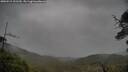 ./images/calvert/fitz-hugh-hecate/20250519/fitz-hugh-hecate20250519_131509M.jpg