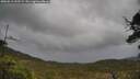 ./images/calvert/fitz-hugh-hecate/20250519/fitz-hugh-hecate20250519_132509M.jpg