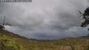 ./images/calvert/fitz-hugh-hecate/20250519/fitz-hugh-hecate20250519_133011M.jpg