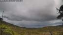 ./images/calvert/fitz-hugh-hecate/20250519/fitz-hugh-hecate20250519_133508M.jpg
