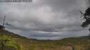 ./images/calvert/fitz-hugh-hecate/20250519/fitz-hugh-hecate20250519_134009M.jpg