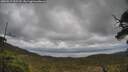 ./images/calvert/fitz-hugh-hecate/20250519/fitz-hugh-hecate20250519_135510M.jpg
