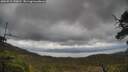 ./images/calvert/fitz-hugh-hecate/20250519/fitz-hugh-hecate20250519_140011M.jpg