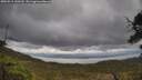 ./images/calvert/fitz-hugh-hecate/20250519/fitz-hugh-hecate20250519_140510M.jpg