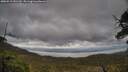 ./images/calvert/fitz-hugh-hecate/20250519/fitz-hugh-hecate20250519_141510M.jpg