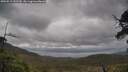 ./images/calvert/fitz-hugh-hecate/20250519/fitz-hugh-hecate20250519_142509M.jpg