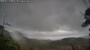 ./images/calvert/fitz-hugh-hecate/20250519/fitz-hugh-hecate20250519_144010M.jpg